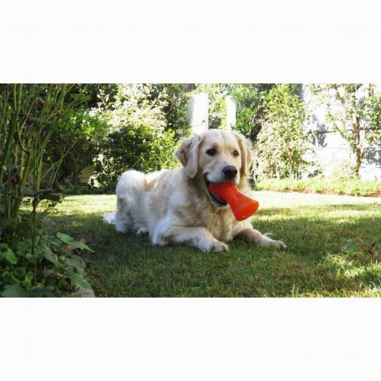 Bionic Dog Juguete Ultra Resistente Hueso
