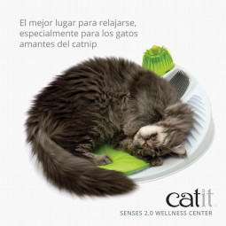 Circuito para gatos catit senses 2.0 play circuit