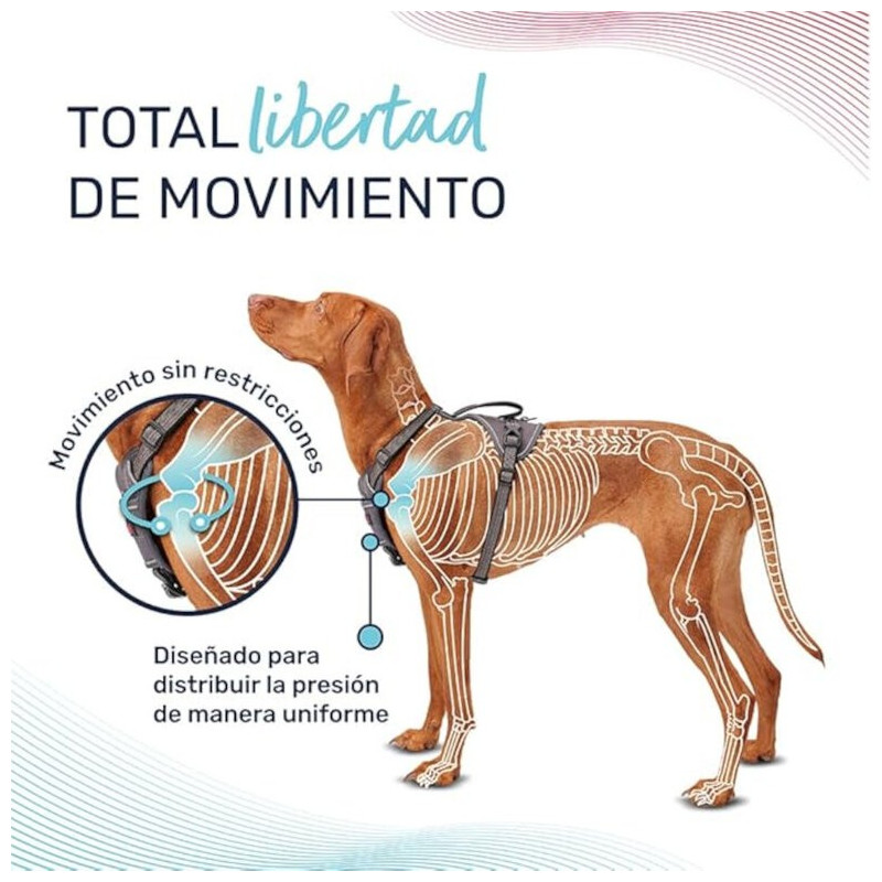 Halti Anatomy Arnés Gris Cuerpo Para Perro
