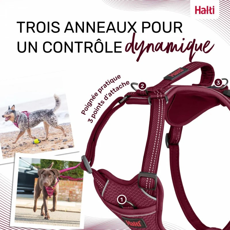 Halti Anatomy Arnés Burdeos Cuerpo Para Perro