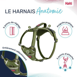 Halti Anatomy Arnés Verde Cuerpo Para Perro