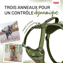 Halti Anatomy Arnés Verde Cuerpo Para Perro