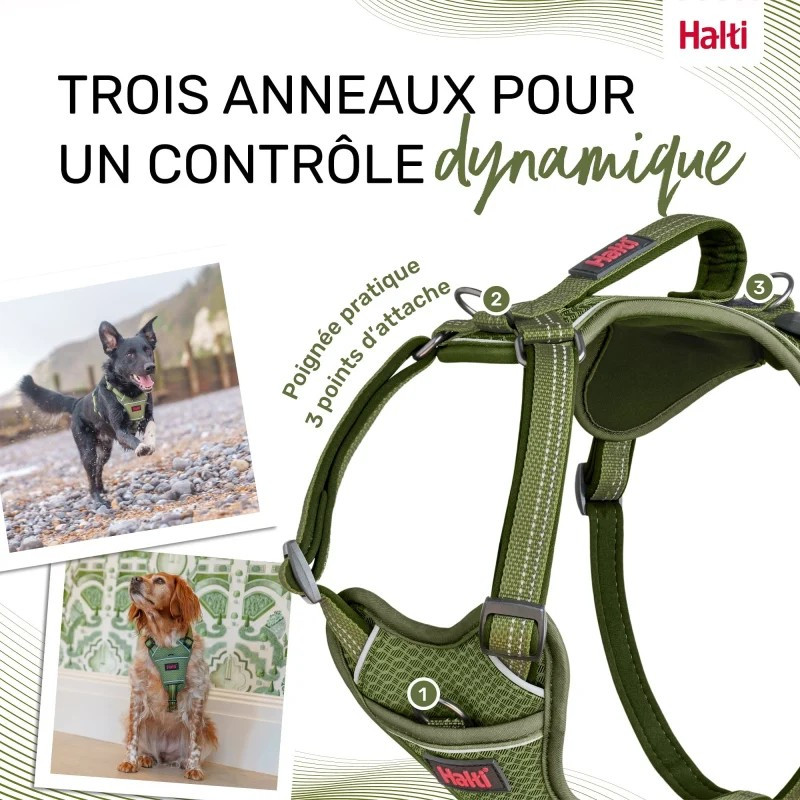 Halti Anatomy Arnés Verde Cuerpo Para Perro