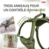 Halti Anatomy Arnés Verde Cuerpo Para Perro