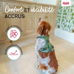 Halti Anatomy Arnés Verde Cuerpo Para Perro