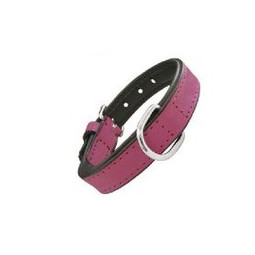 Gloria Pets Dog Collar Piel Acolchado Fucsia