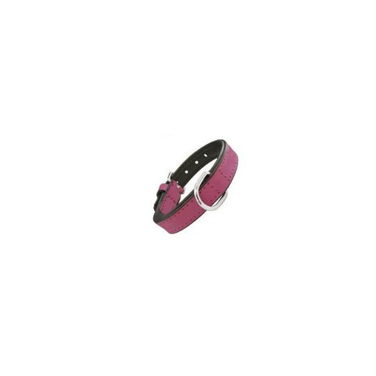 Gloria Pets Dog Collar Piel Acolchado Fucsia