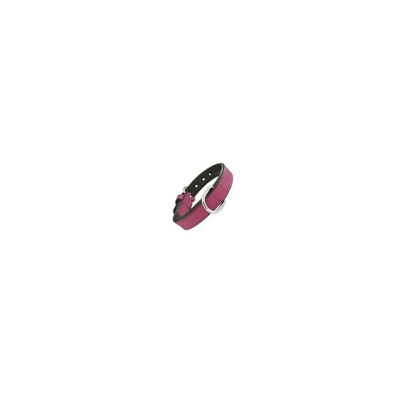 Gloria Pets Dog Collar Piel Acolchado Fucsia