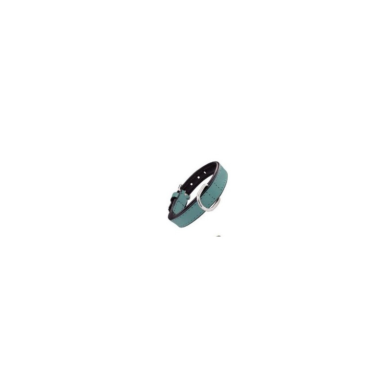 Gloria Pets Dog Collar Piel Acolchado Turquesa