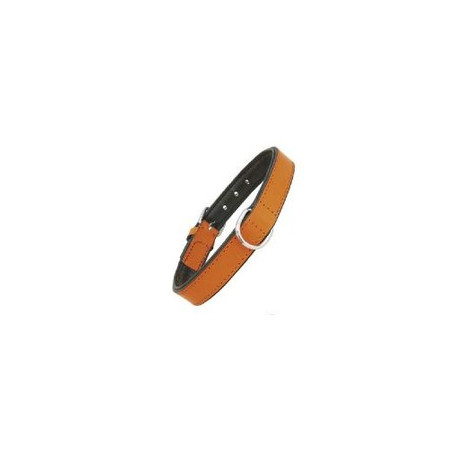 Gloria Pets Dog Collar Piel Acolchado Naranja