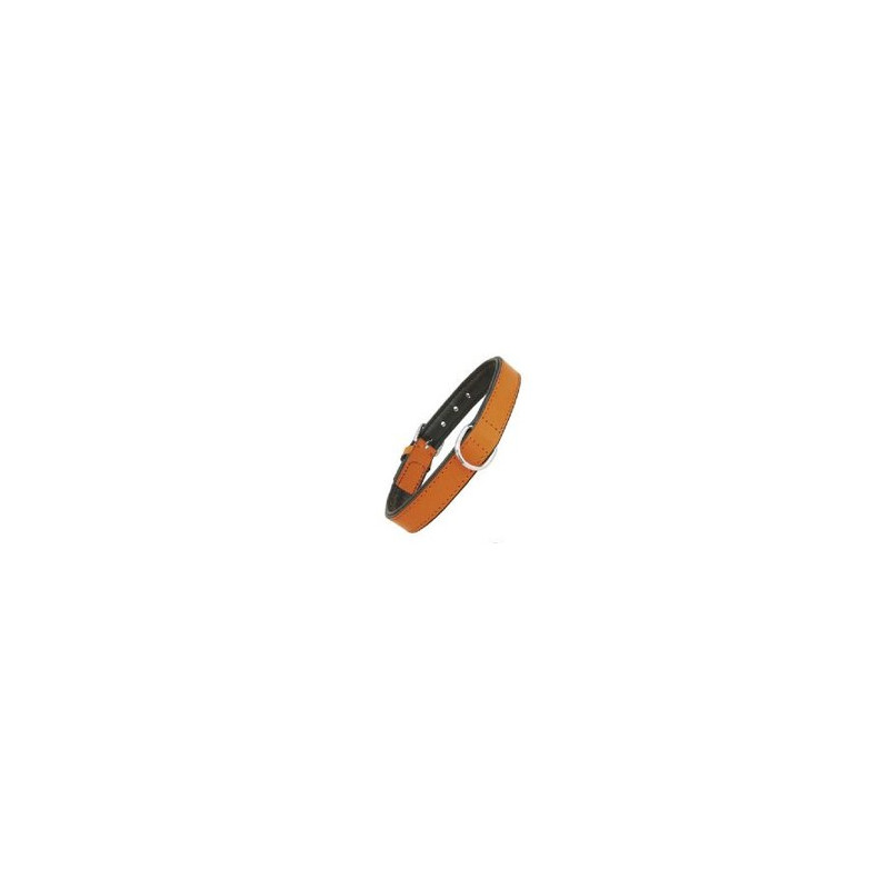 Gloria Pets Dog Collar Piel Acolchado Naranja