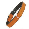 Gloria Pets Dog Collar Piel Acolchado Naranja