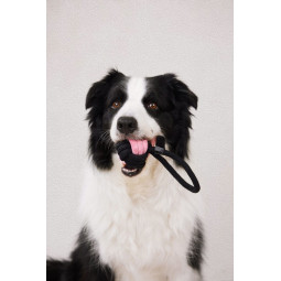 Pelota con trapillo para perros, comprar en Zaragoza, Superguau