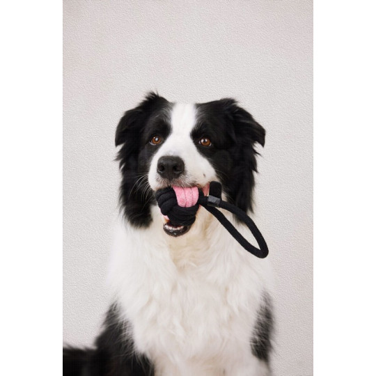 Pelota con trapillo para perros, comprar en Zaragoza, Superguau