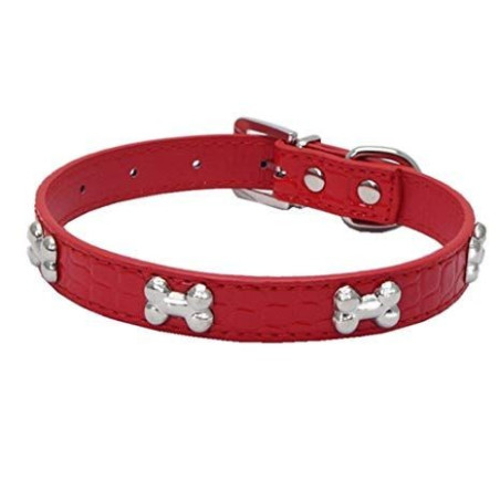 
collar de cuero para perros en zaragoza con envio a dimicilio en toda españa