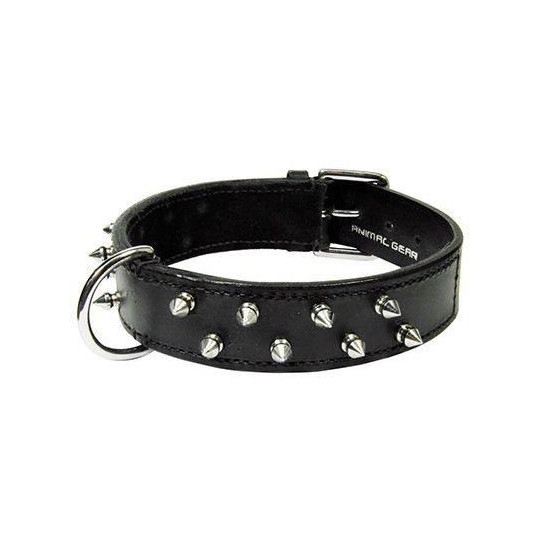 
collar de cuero para perros en zaragoza con envio a dimicilio en toda españa