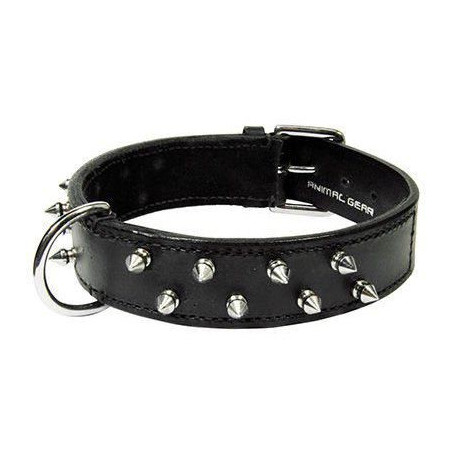 
collar de cuero para perros en zaragoza con envio a dimicilio en toda españa