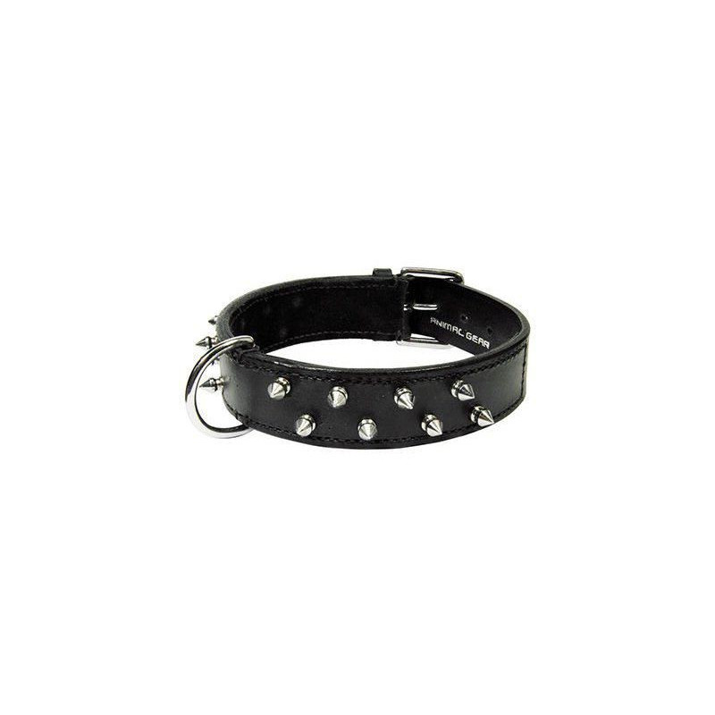 
collar de cuero para perros en zaragoza con envio a dimicilio en toda españa