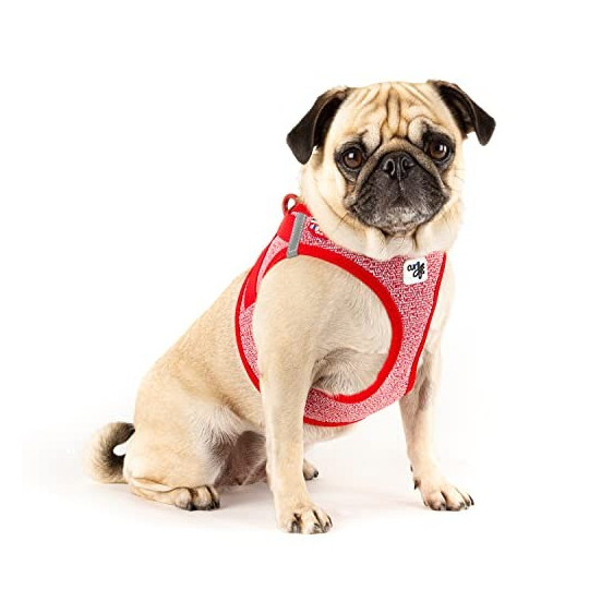 Curli Arnés Merino Clasp Rojo