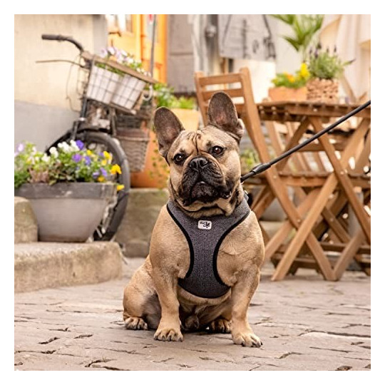 Curli Arnés Merino Clasp Negro