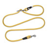 Curli Correa Stretch L Varios Colores