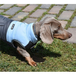 Nayeco Chaqueta Montecarlo Azul
