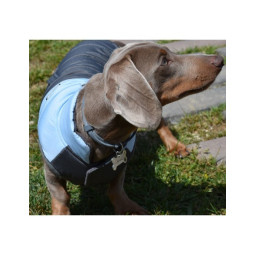 Nayeco Chaqueta Montecarlo Azul