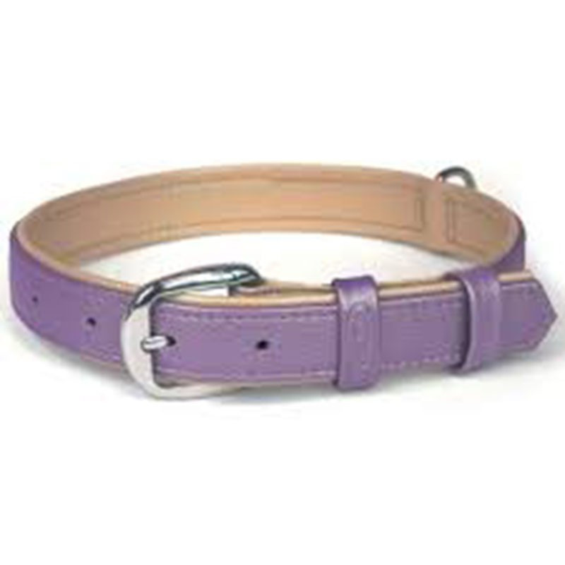 Collar cuero Flexi Elegance