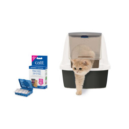 Absorbeolores gateras Magic Blue