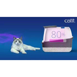 Absorbeolores gateras Magic Blue