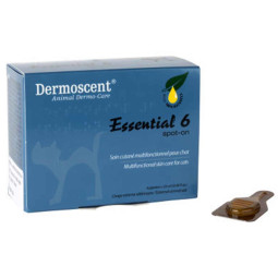 Pipetas Dermoscent Essential 6 para gatos