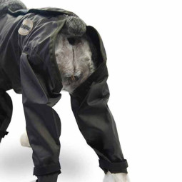 Chubasquero completo para perros