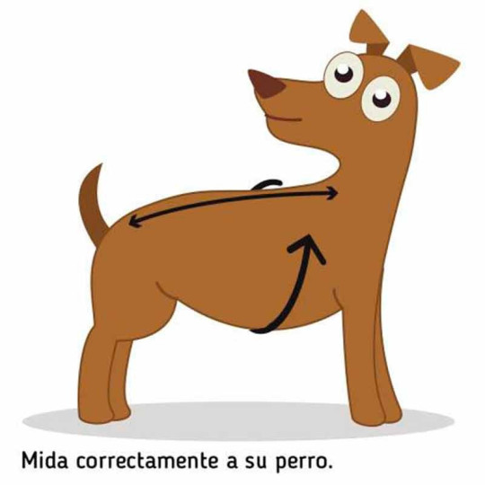 Chaleco Salvavidas Ibañez