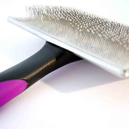 Carda suave punta protegida Ibañez