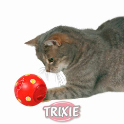 Pelota Cat Activity