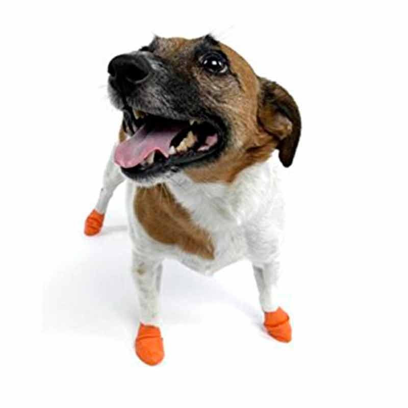 Botitas protectoras caucho Pawz