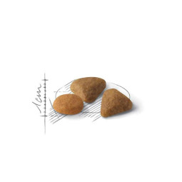Royal Canin Exigent 35/30- Savour Sensation