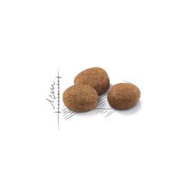 Royal Canin Sterilised +7