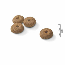 Royal Canin Mini Sterilised