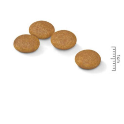 Royal Canin Mini Dermaconfort
