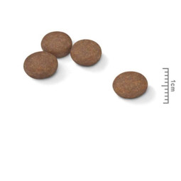Royal Canin Mini Digestive Care