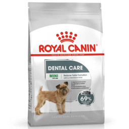 Mini Dental Care