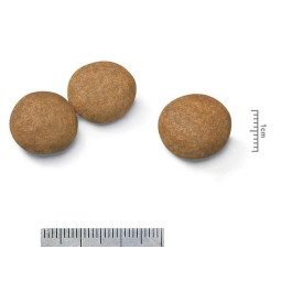 Royal Canin Medium Adult