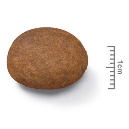 Royal Canin Adult +7