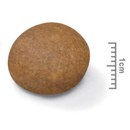 Royal Canin Maxi Adult +5