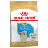 Royal Canin Golden Junior