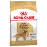 Royal Canin Golden Retriever Adulto