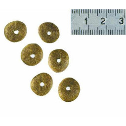 RC Neutered Junior Dog