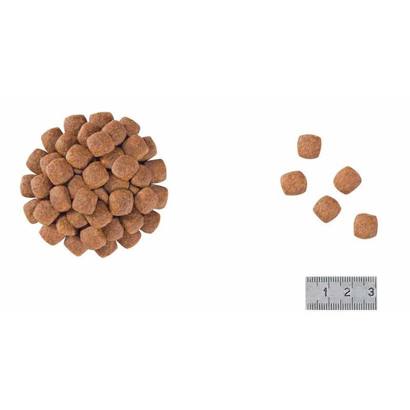 RC VCN Adult