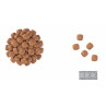 RC VCN Adult